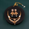 Rajwadi Royalty Necklace Set